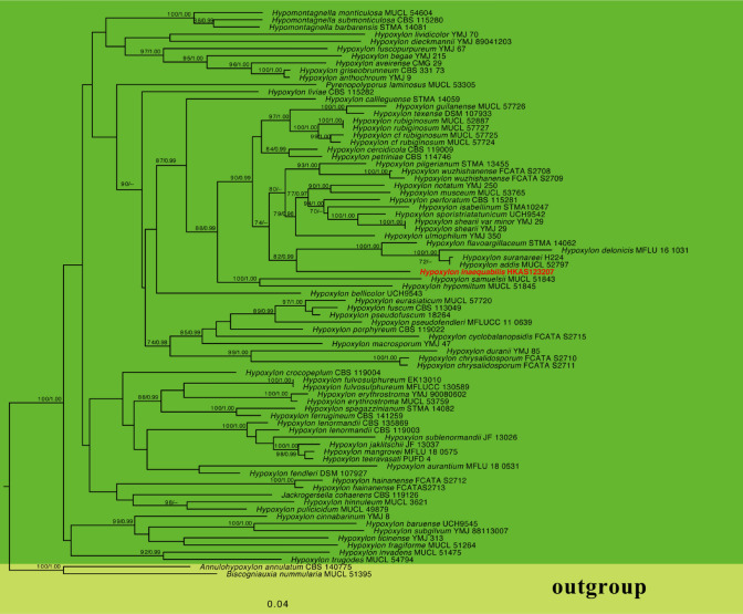 Fig. 127