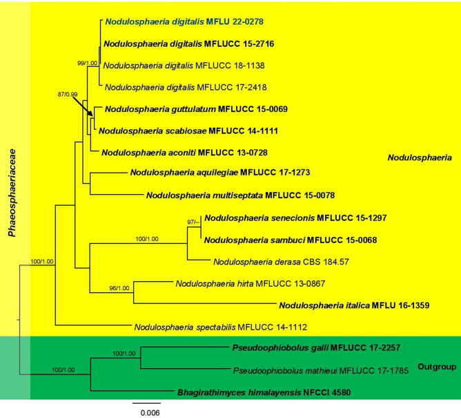 Fig. 34