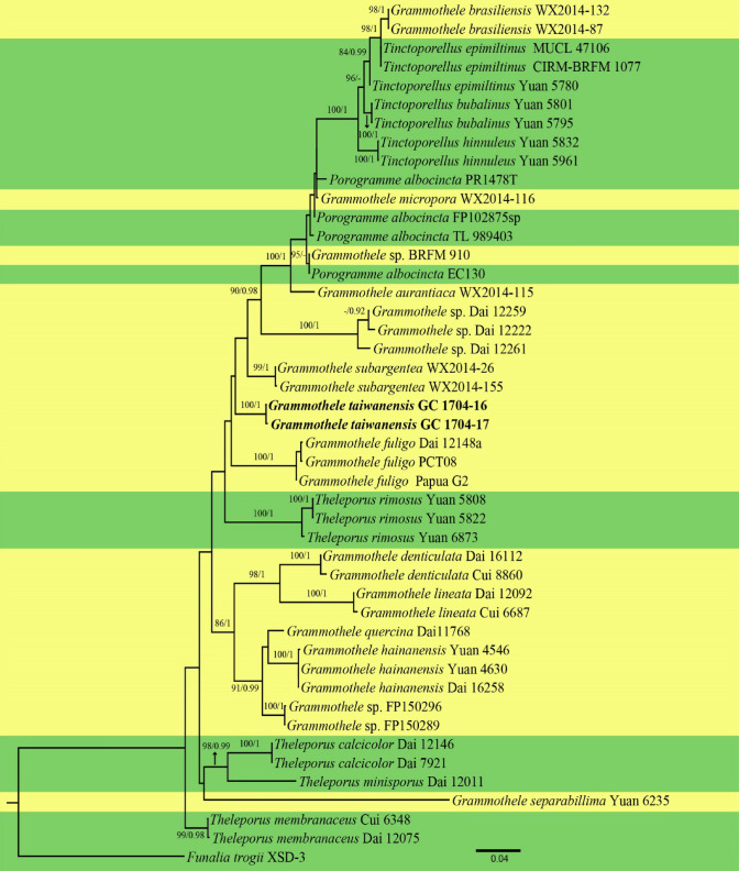 Fig. 161