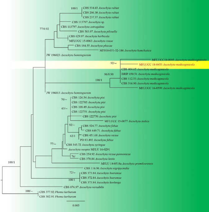 Fig. 20