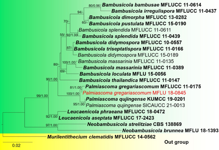 Fig. 16