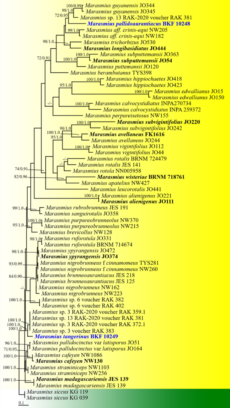 Fig. 155