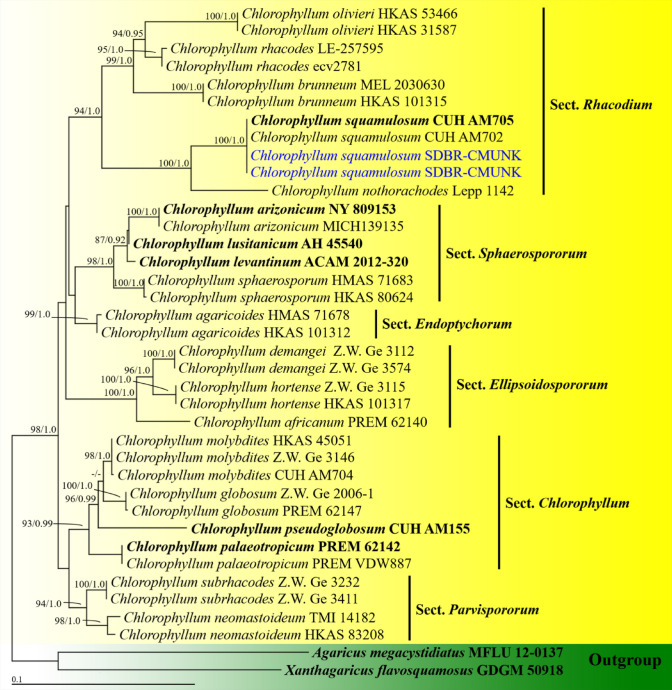 Fig. 133