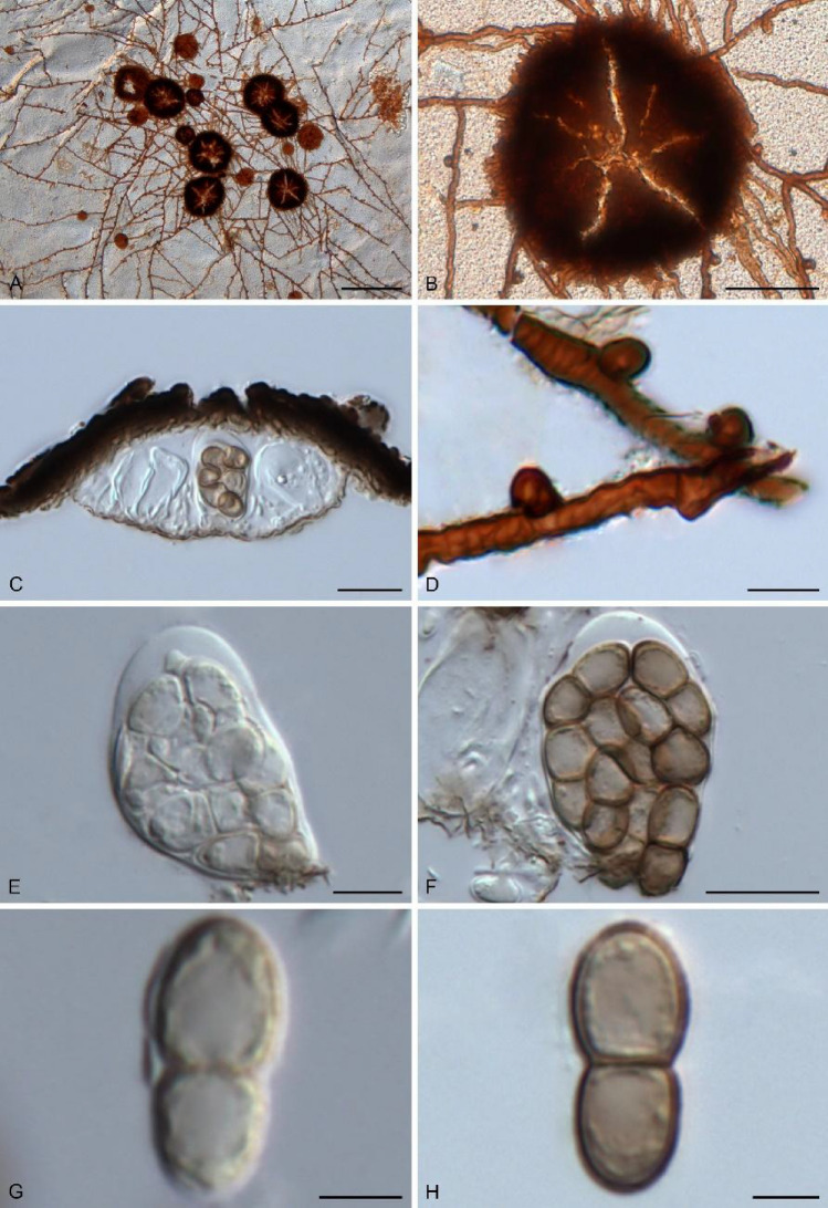 Fig. 57