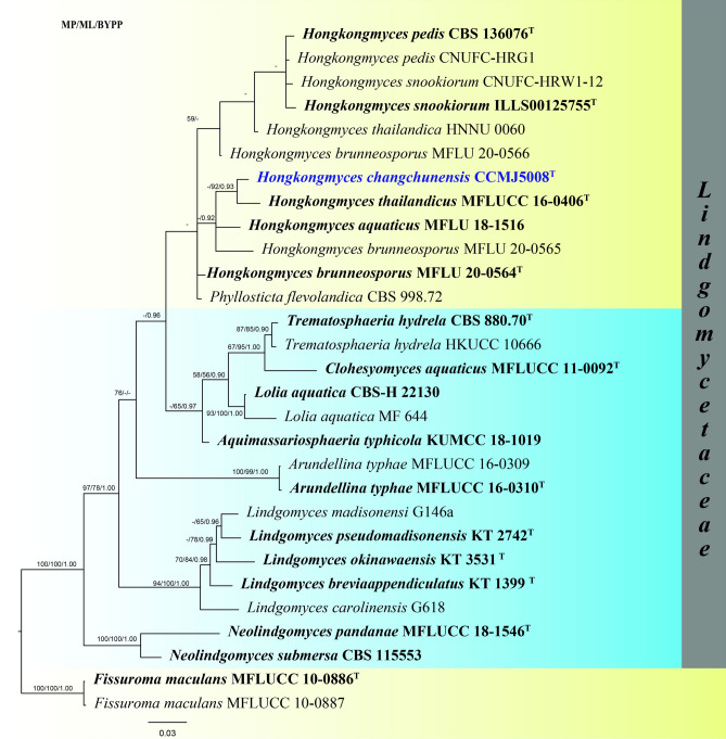 Fig. 24