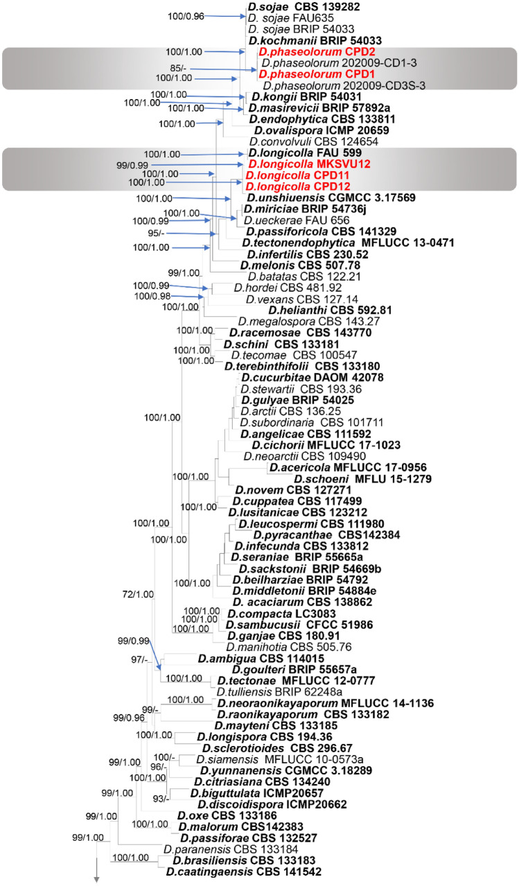 Fig. 75