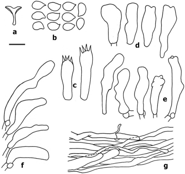 Fig. 180