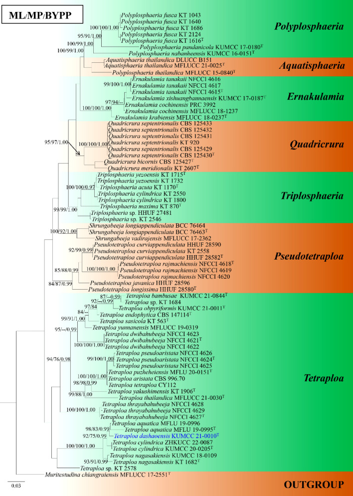 Fig. 43