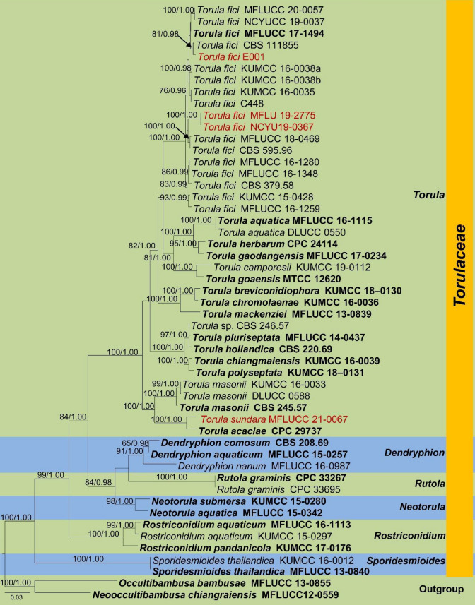 Fig. 45