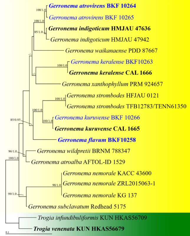 Fig. 179