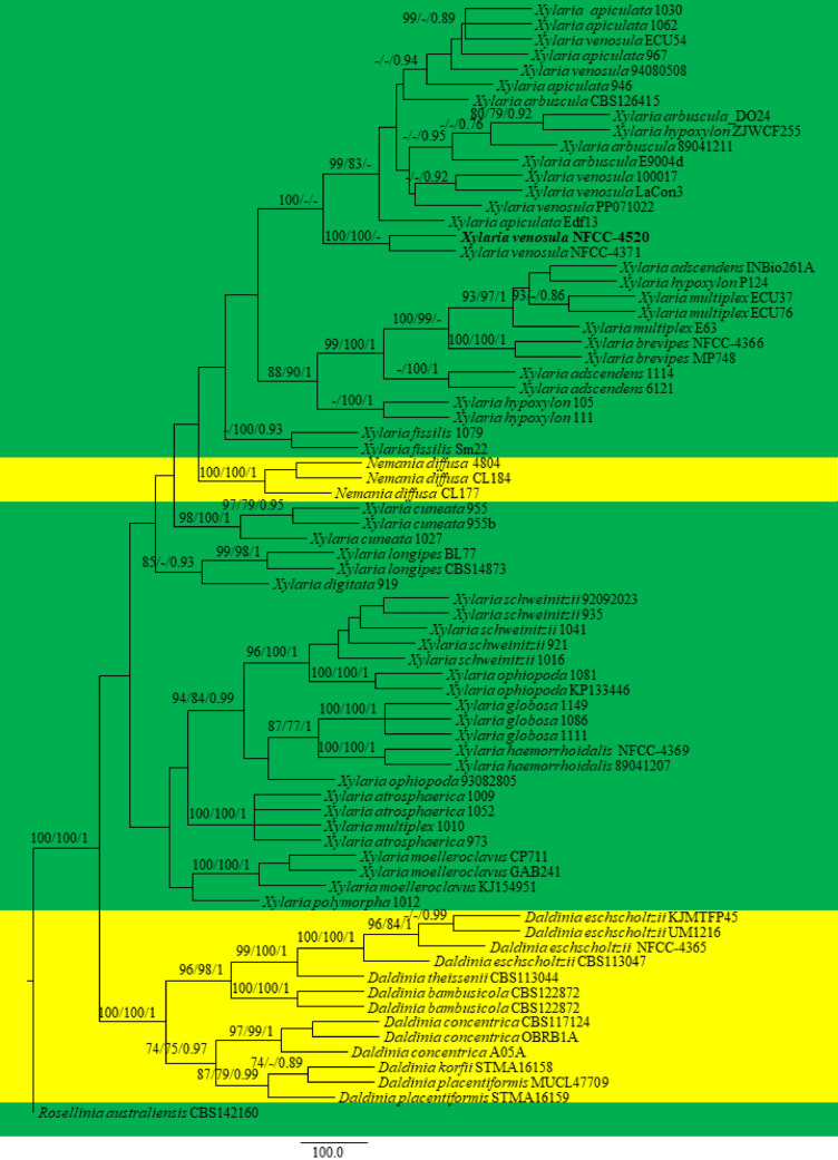 Fig. 131