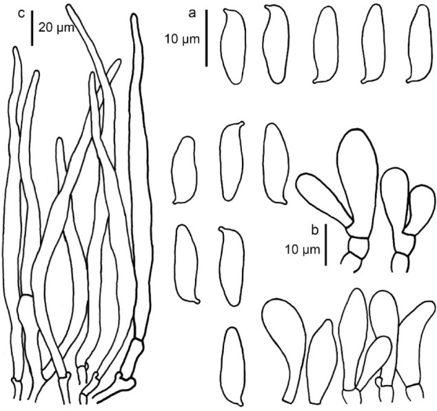 Fig. 138