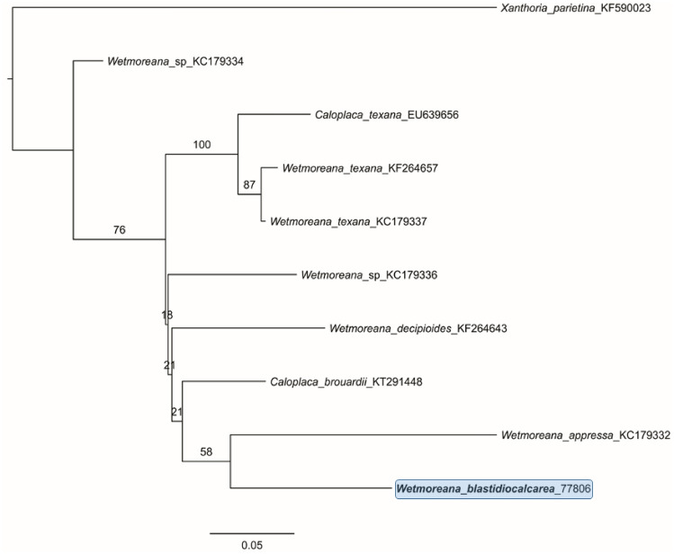 Fig. 71