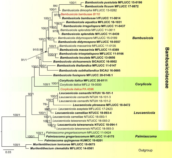 Fig. 13