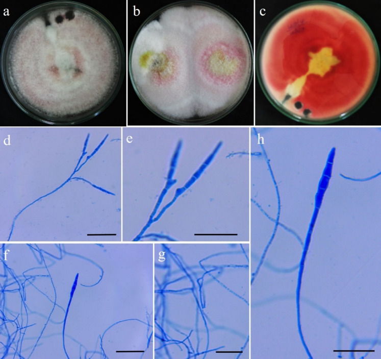 Fig. 93