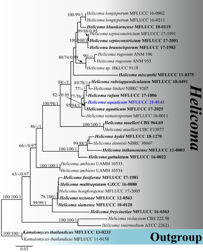 Fig. 52