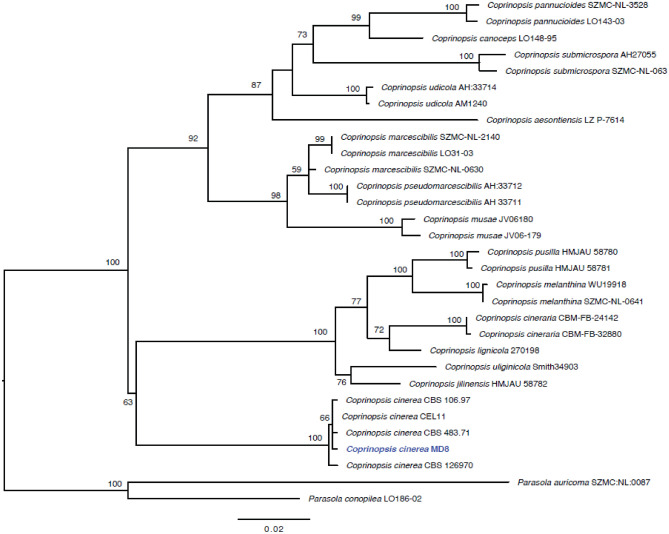 Fig. 169