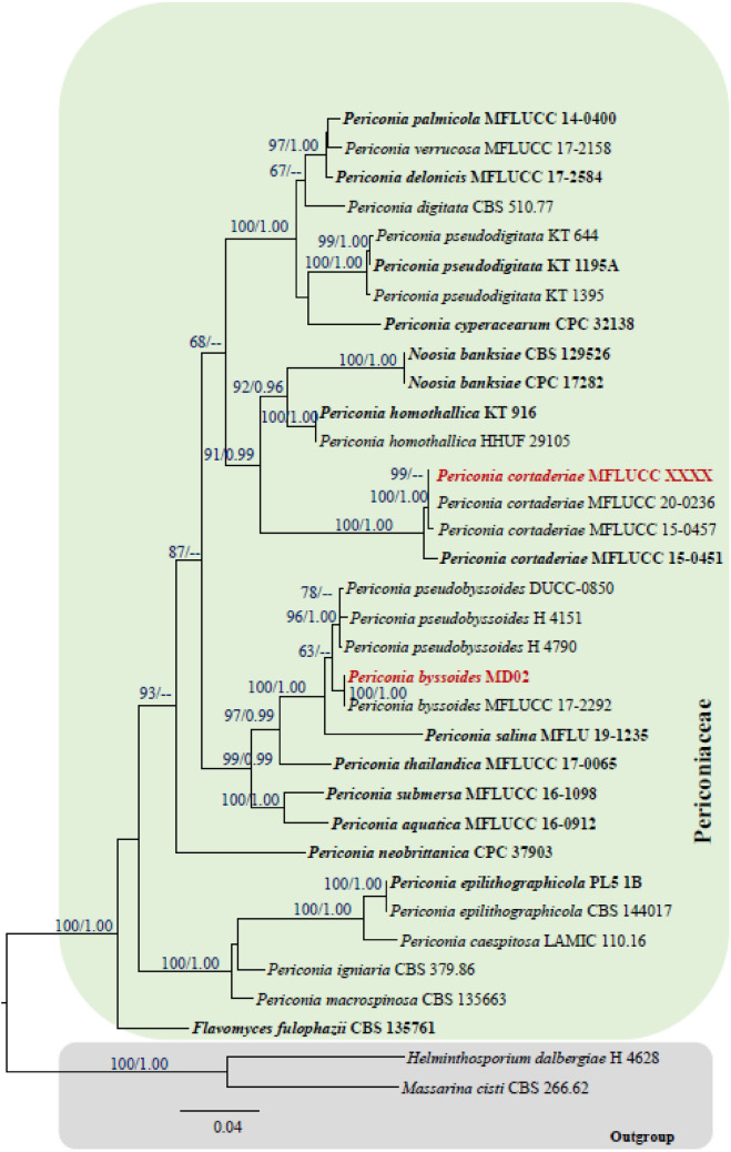 Fig. 49