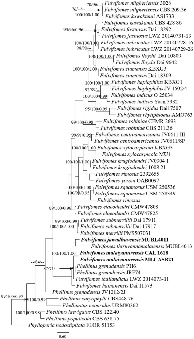 Fig. 151