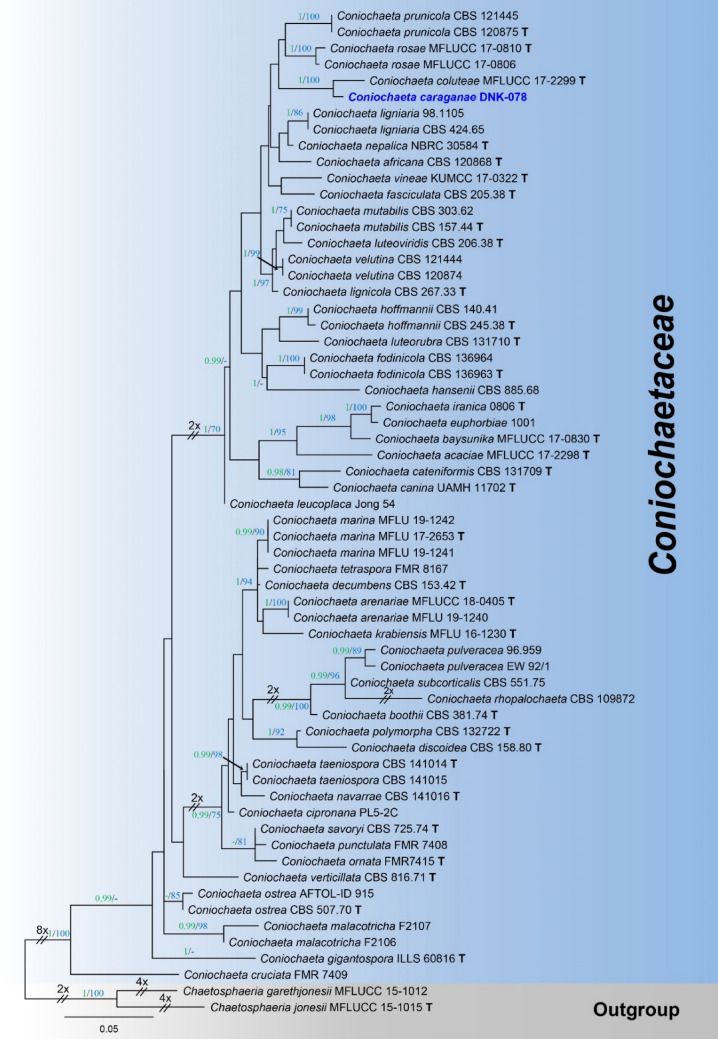 Fig. 110