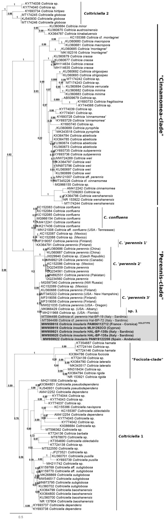 Fig. 147