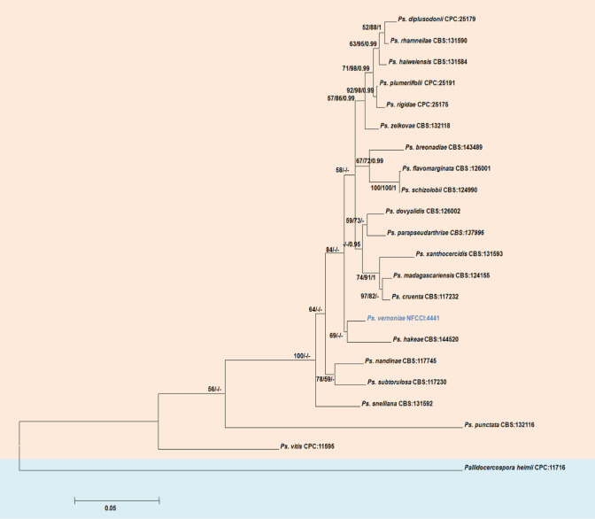 Fig. 3