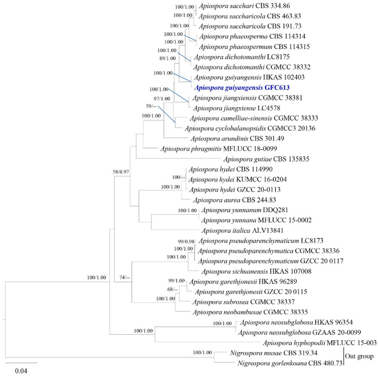 Fig. 123