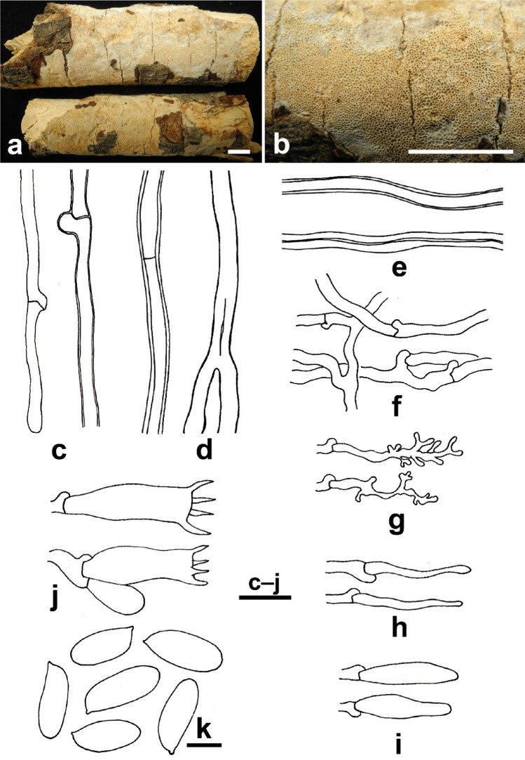 Fig. 160