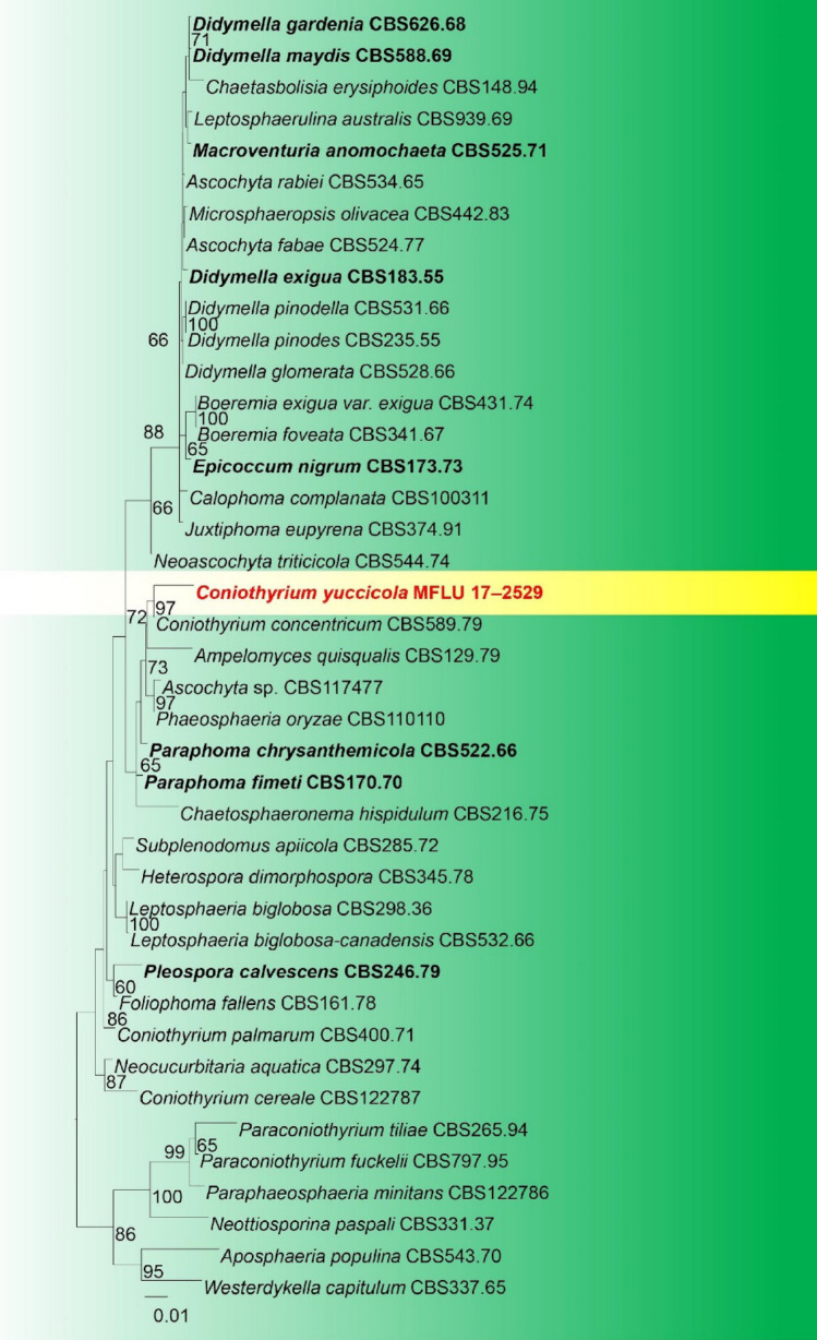 Fig. 18