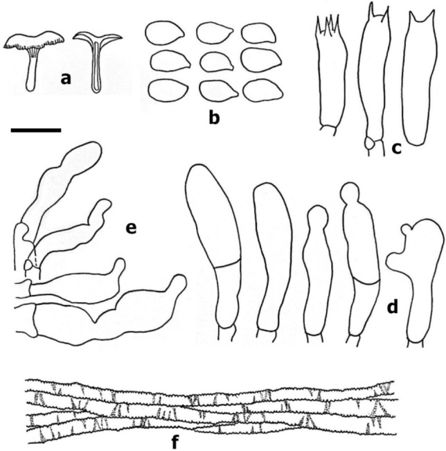 Fig. 178