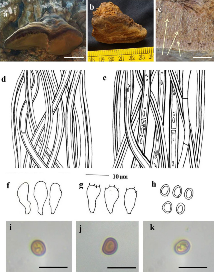 Fig. 149