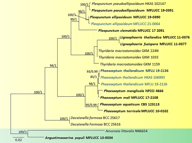 Fig. 31