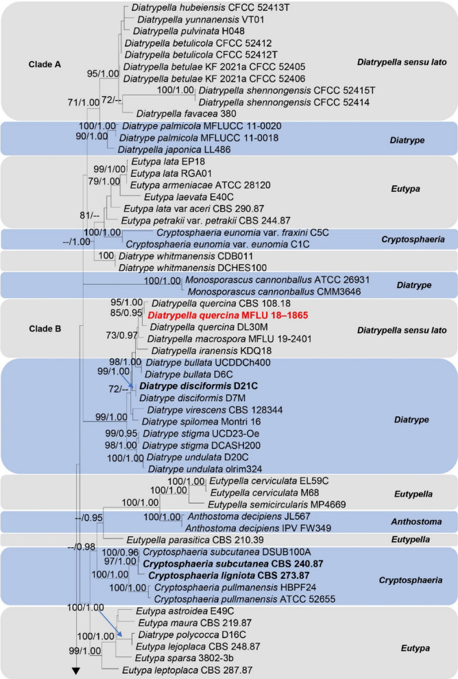 Fig. 125