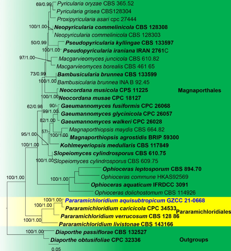 Fig. 83