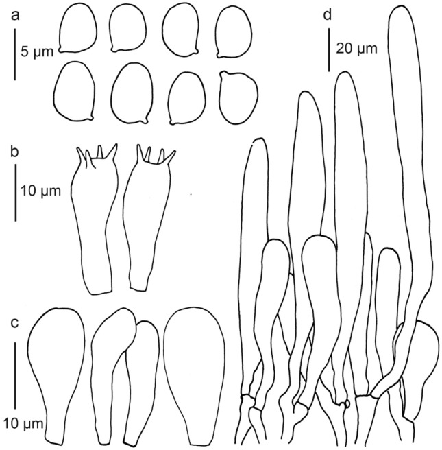 Fig. 140