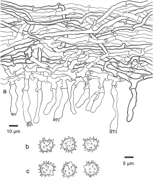 Fig. 172