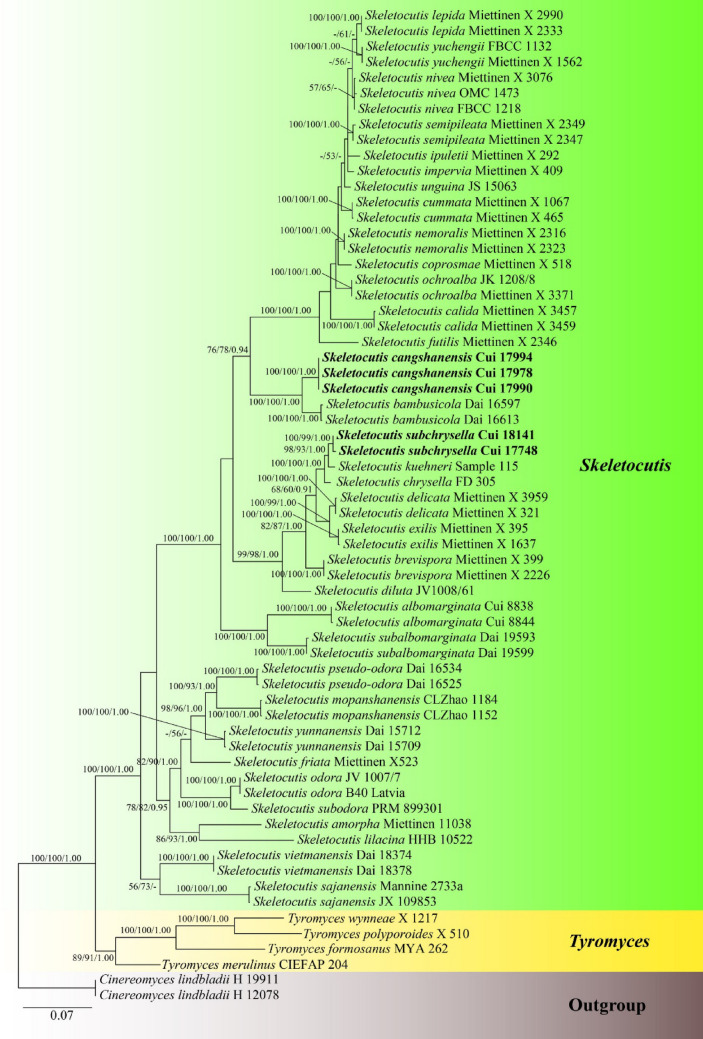 Fig. 164