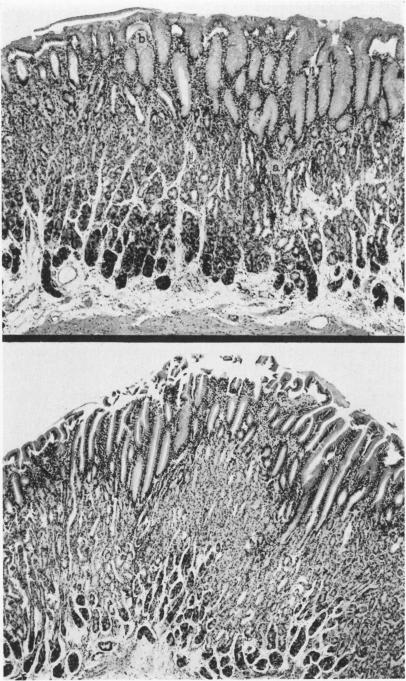 Fig. 3a., Fig. 3b.