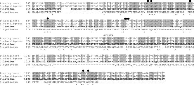 FIG. 6.