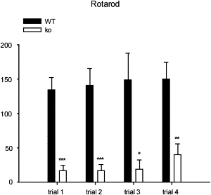 Figure 5