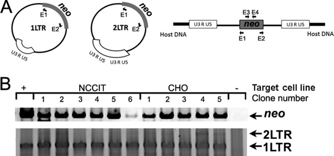 FIG 6