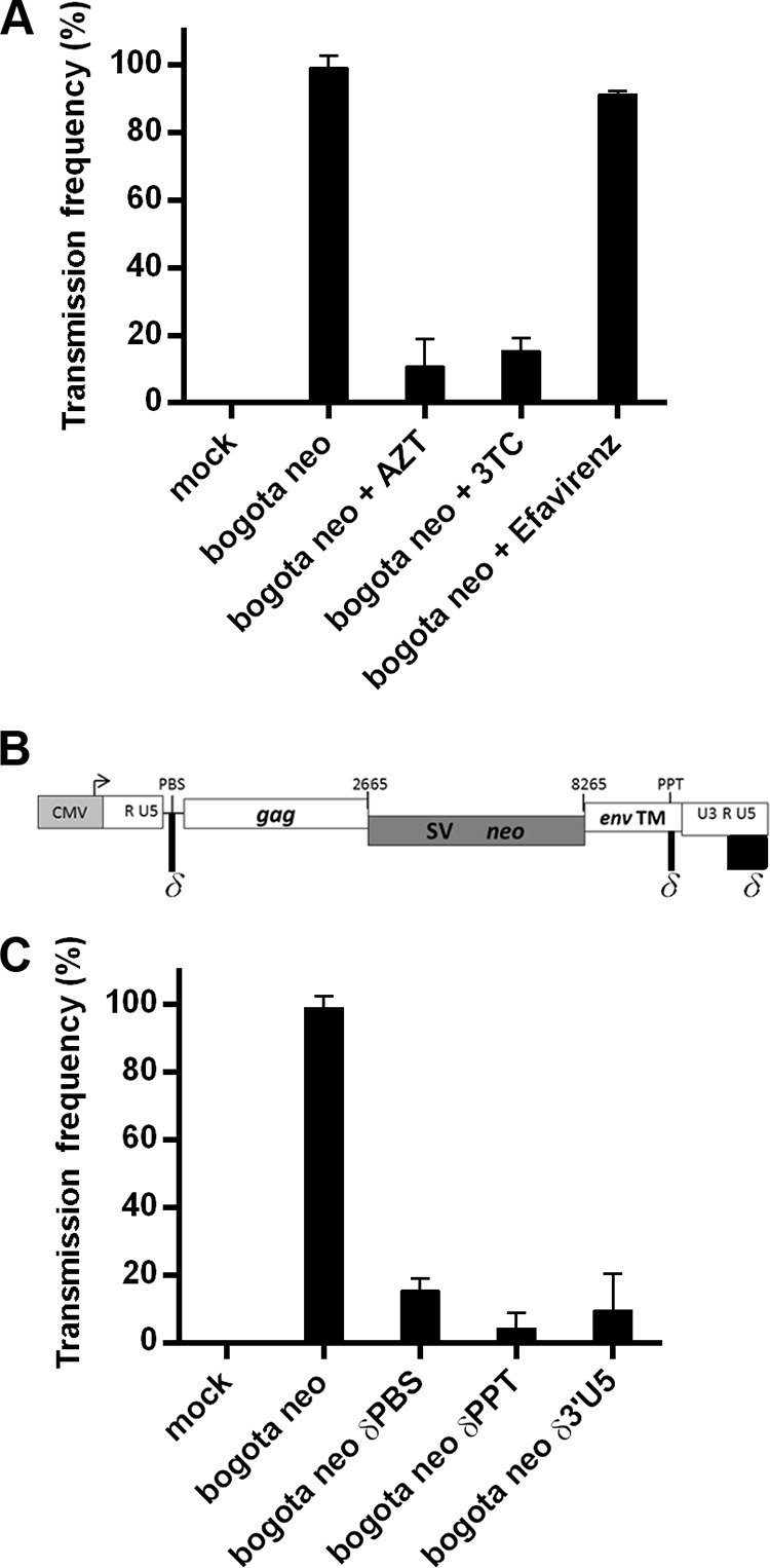 FIG 5