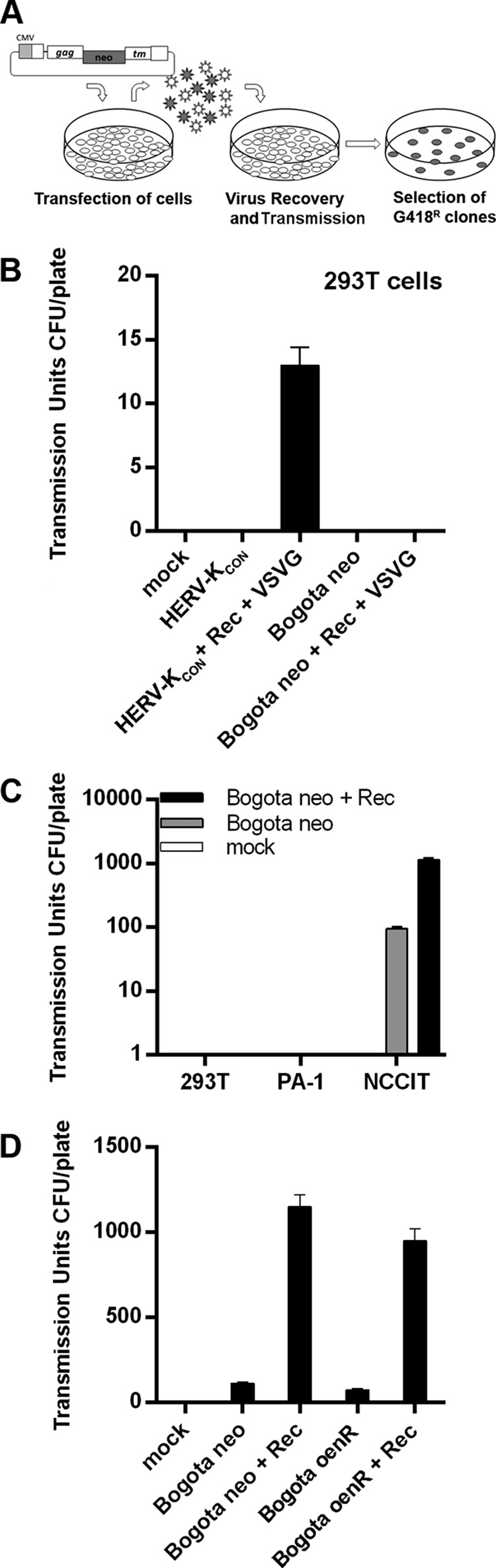 FIG 4