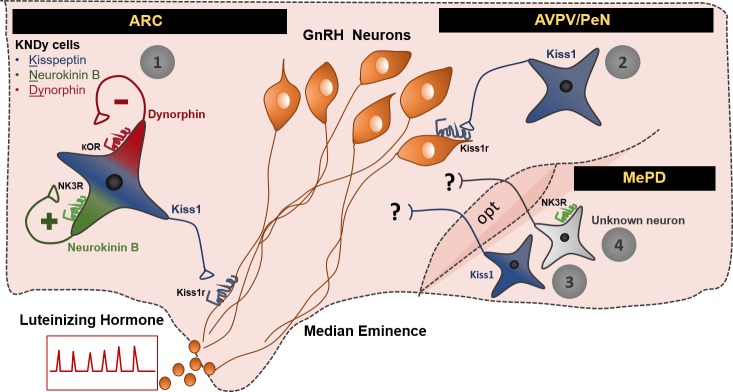 Figure 5.