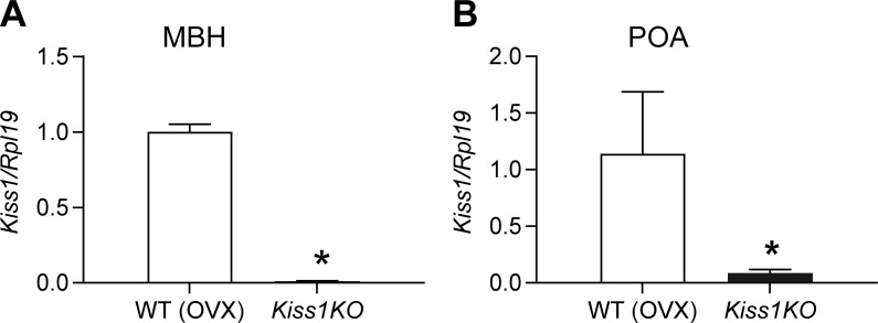 Figure 1—figure supplement 1.