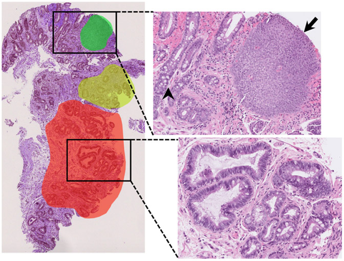 Fig. 2.