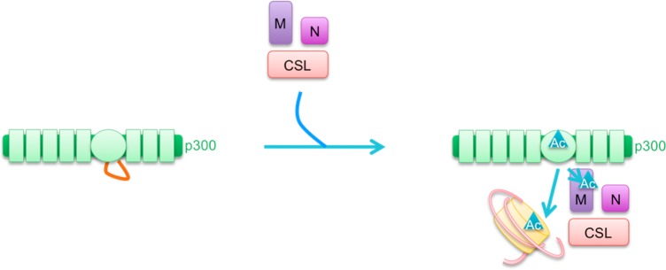 Figure 16