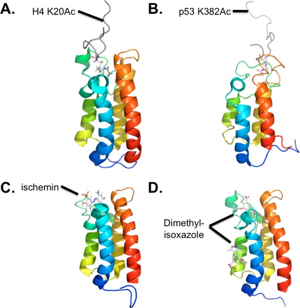 Figure 12