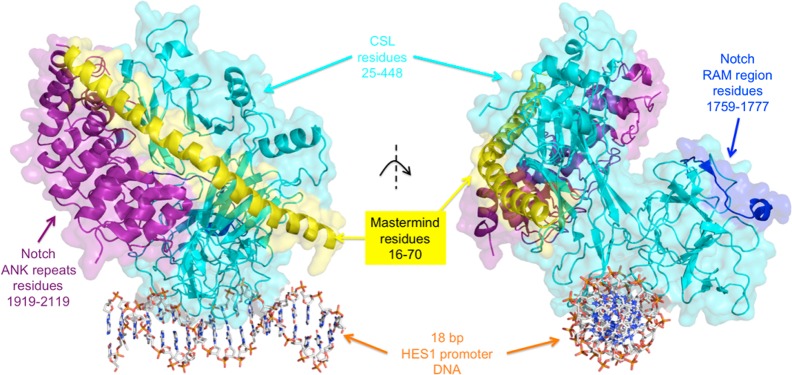 Figure 15