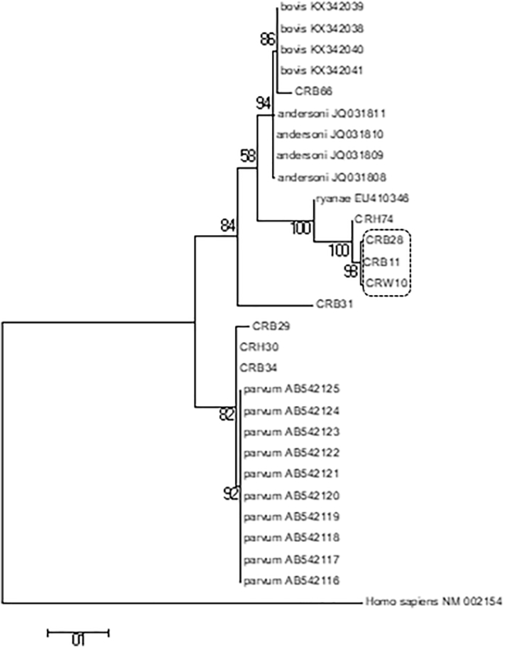 Fig. 1